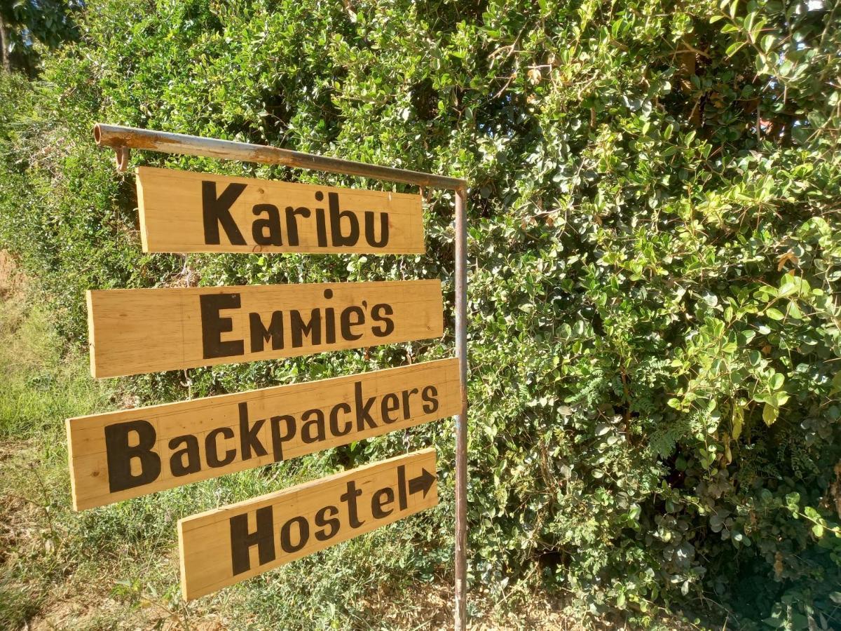Emmy'S Backpackers Hostel Iringa Zewnętrze zdjęcie